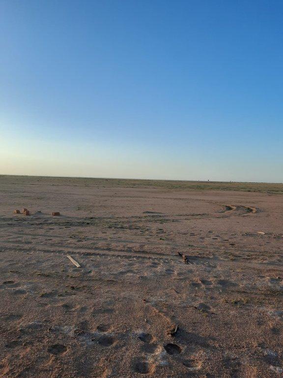 اعلان تسويقي